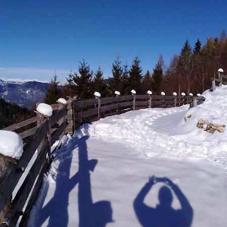 Baita Del Nonno Dei Pitoi Vila Bedollo Exterior foto