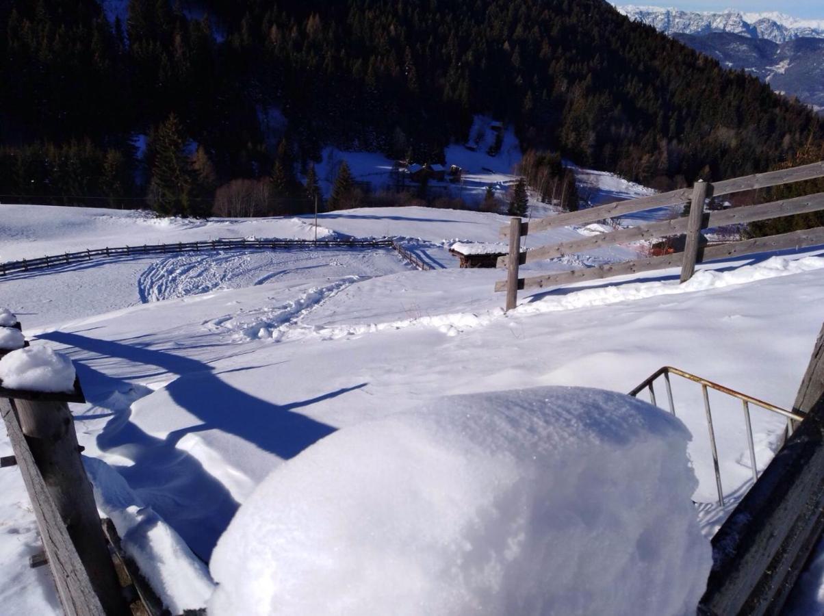 Baita Del Nonno Dei Pitoi Vila Bedollo Exterior foto